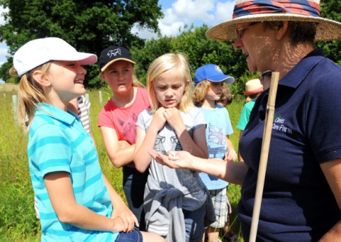 Image of kids outdoors