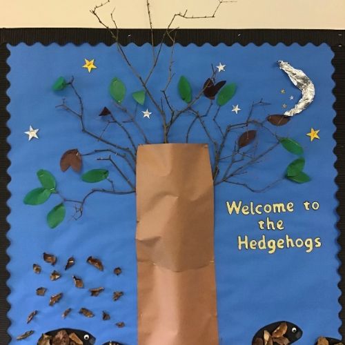 Hedgehogs