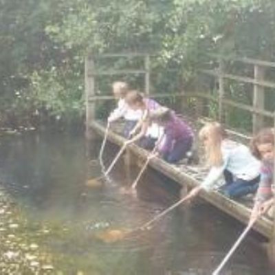 minsmere9(2)